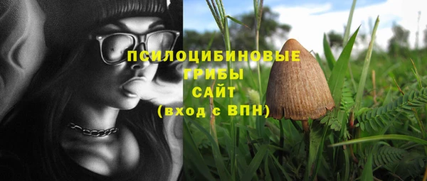 mix Алексеевка