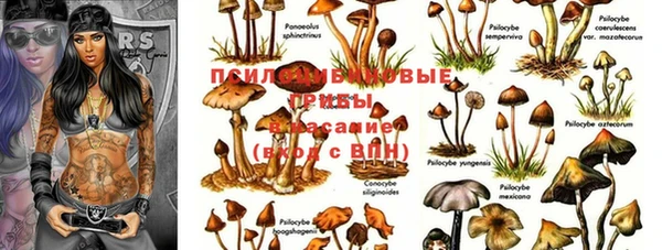 молекула духа Алзамай