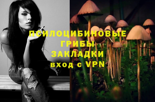 молекула духа Алзамай