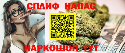 дурь Шелехов