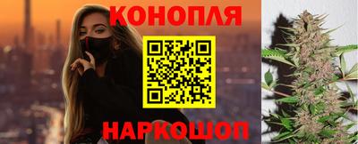 дурь Шелехов