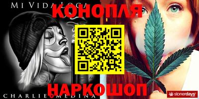 дурь Шелехов