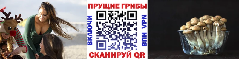 Псилоцибиновые грибы GOLDEN TEACHER  Одинцово 