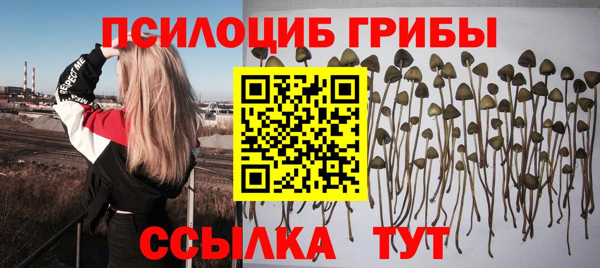 даркнет сайт  Галлюциногенные грибы Psilocybe  Вход с VPN  Одинцово 