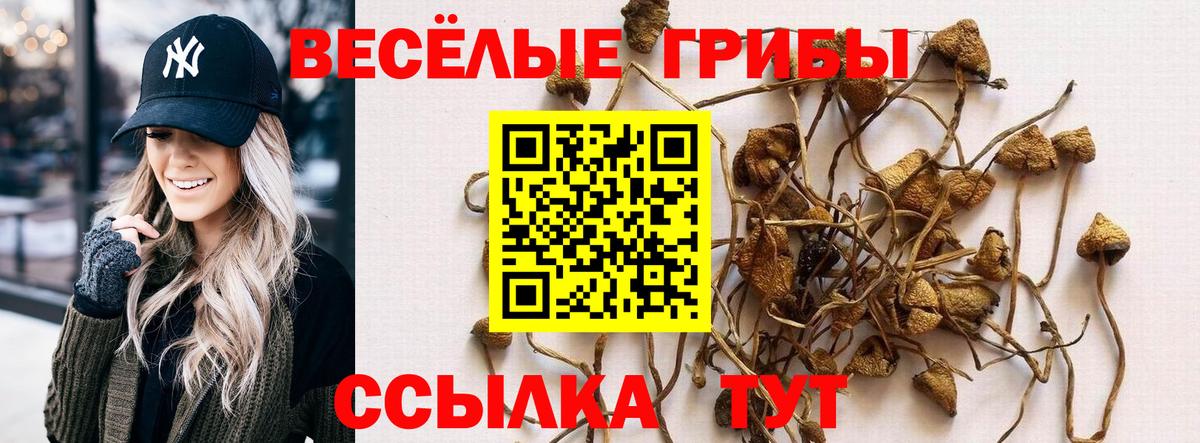 Псилоцибиновые грибы MAGIC MUSHROOMS Одинцово